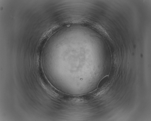 X0000067830542200604271557