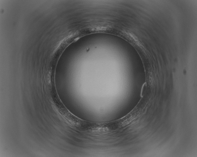 X0000067830543200604271557