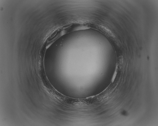 X0000067830544200604271557