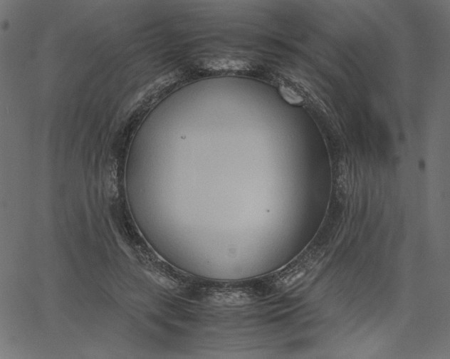 X0000067830547200604271557