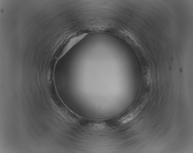 X0000067830548200604271557