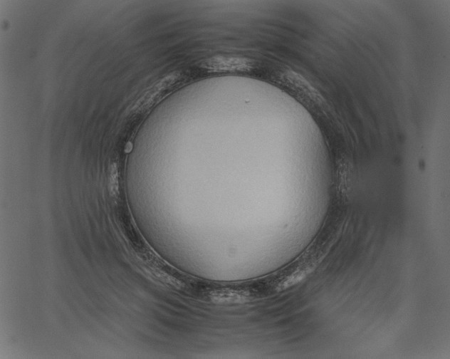 X0000067830549200604271557