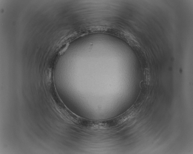 X0000067830550200604271557