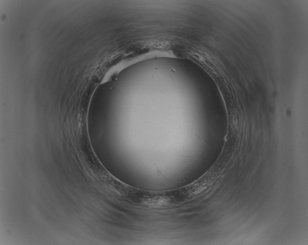 X0000067830551200604271557