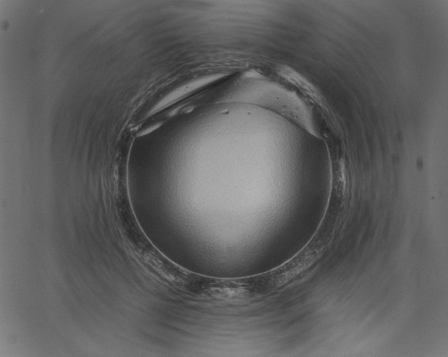 X0000067830552200604271557