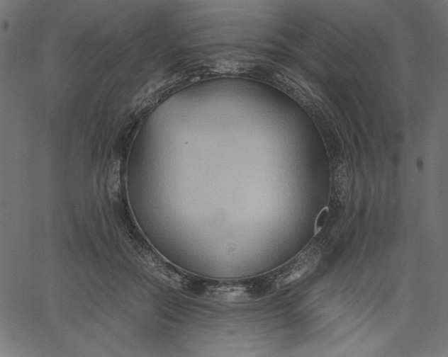 X0000067830554200604271557