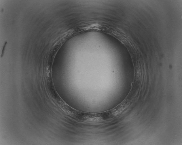 X0000067830555200604271557