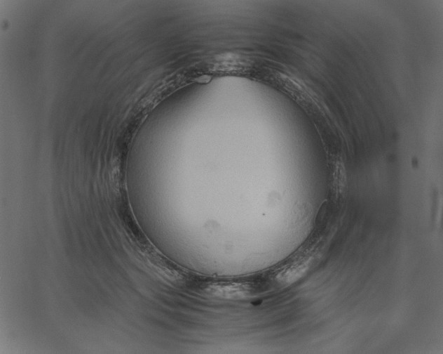 X0000067830557200604271557