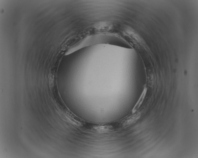 X0000067830558200604271557