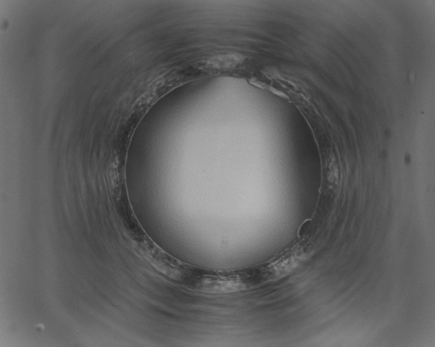 X0000067830559200604271557