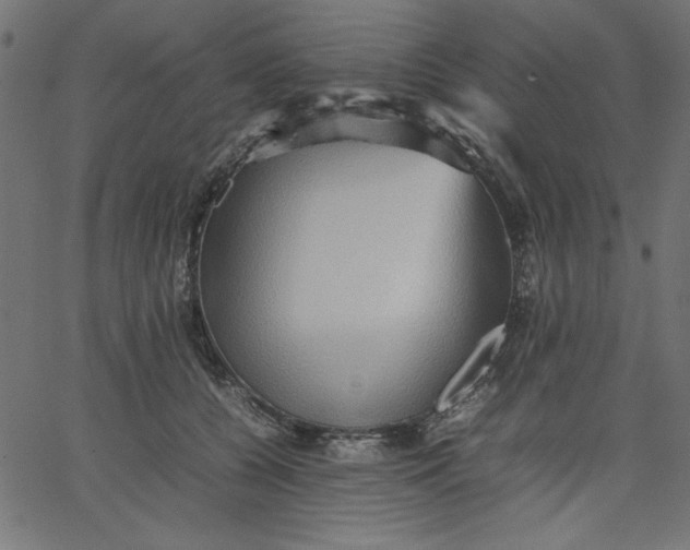 X0000067830560200604271557