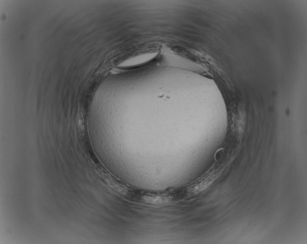 X0000067830561200604271557