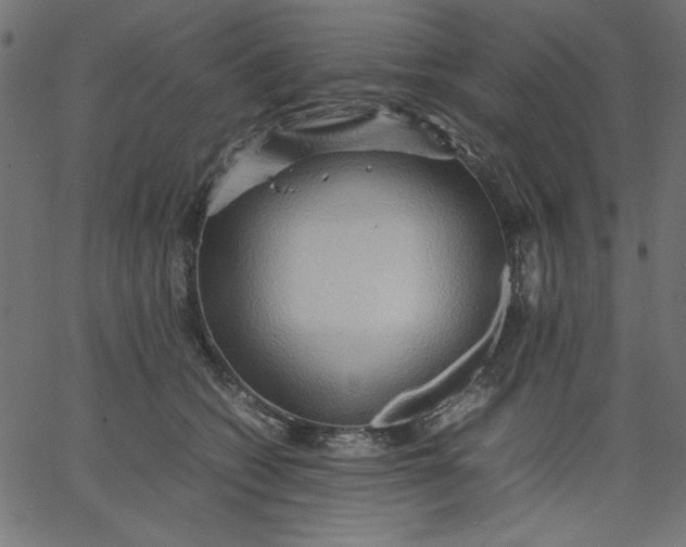 X0000067830562200604271557