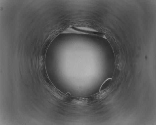 X0000067830563200604271557