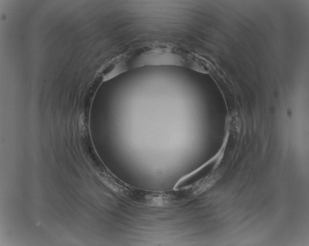 X0000067830564200604271557