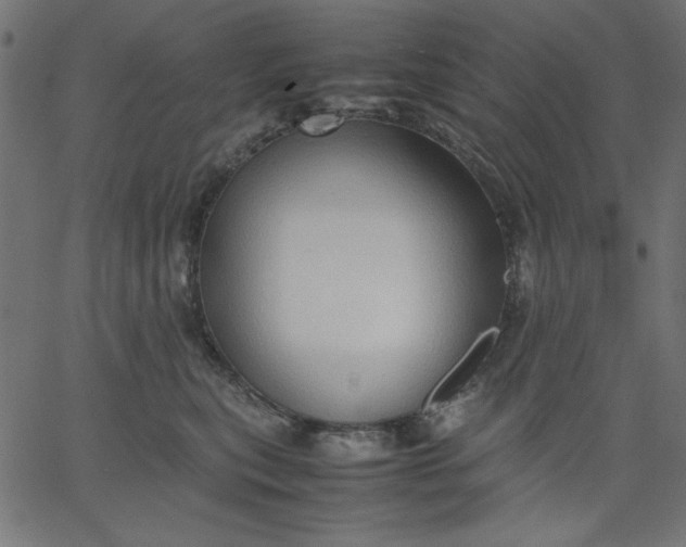 X0000067830567200604271557