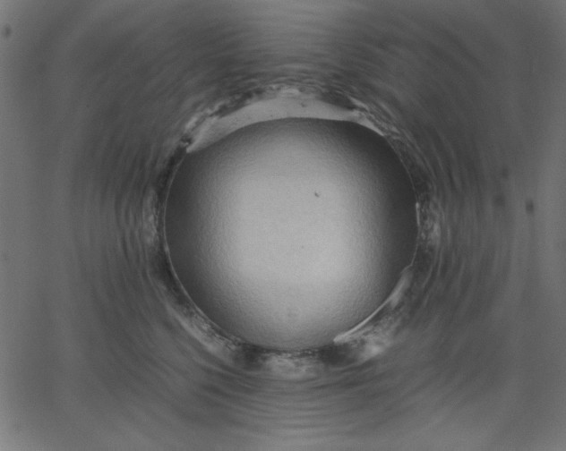 X0000067830568200604271557