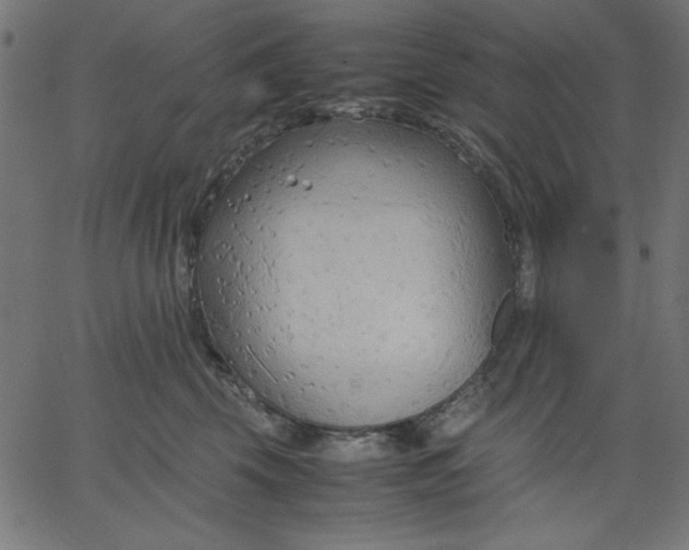 X0000067830569200604271557