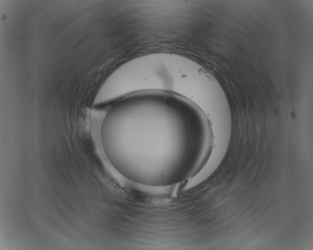 X0000067830570200604271557