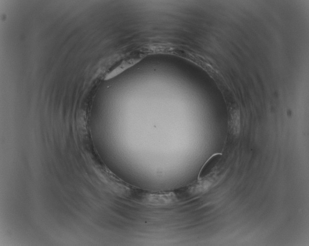 X0000067830571200604271557