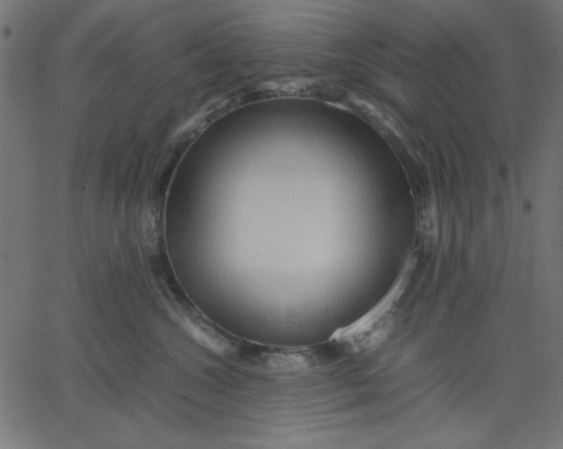 X0000067830572200604271557