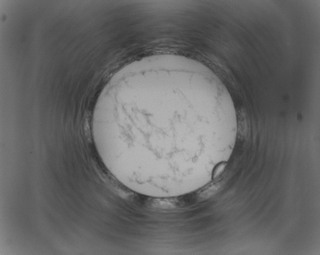 X0000067830573200604271557