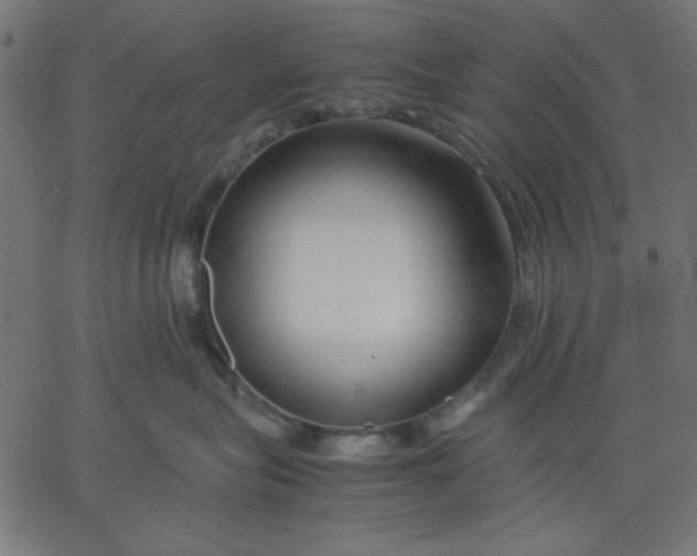 X0000067830575200604271557