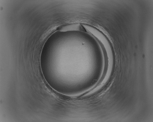 X0000067830577200604271557