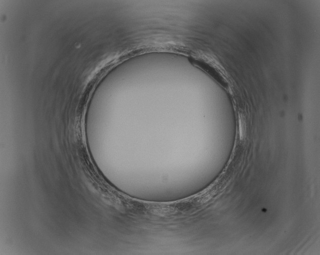 X0000067830579200604271557