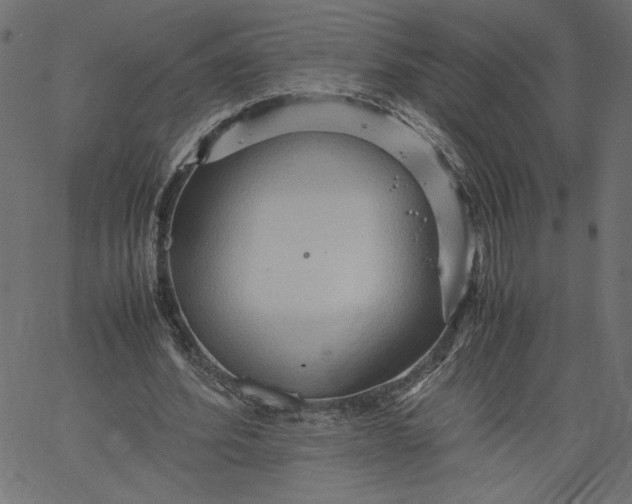 X0000067830580200604271557