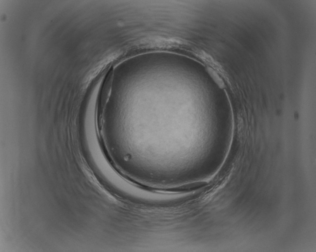 X0000067830581200604271556