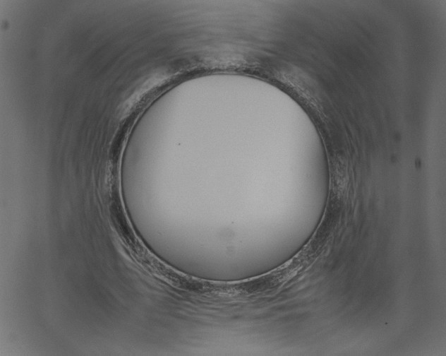 X0000067830583200604271556