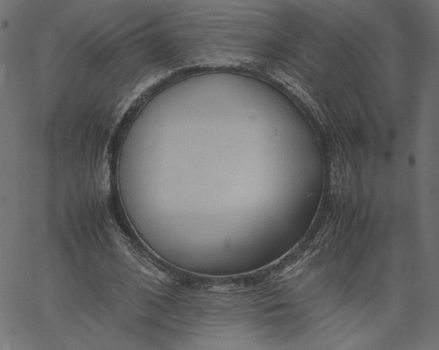 X0000067830584200604271556