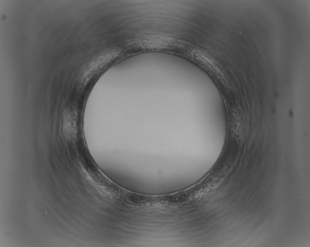 X0000067830586200604271556