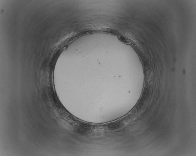 X0000067830587200604271556