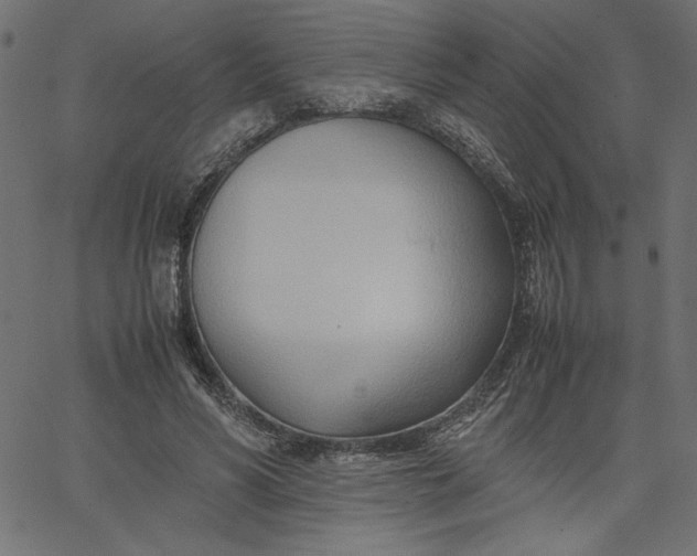 X0000067830590200604271556