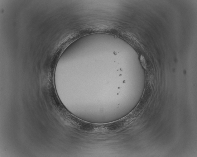 X0000067830591200604271556