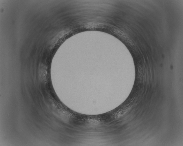 X0000067830592200604271556