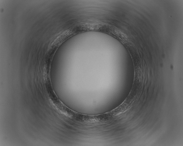 X0000067830594200604271556