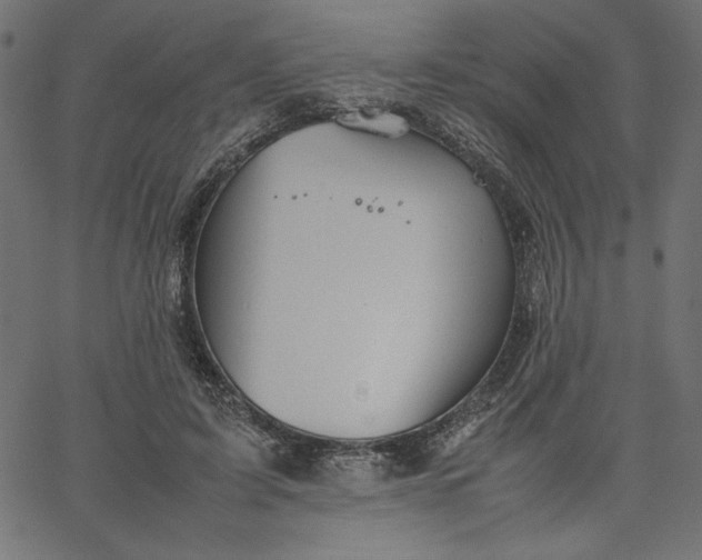 X0000067830595200604271556