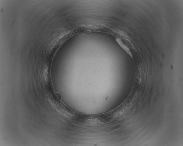 X0000067830596200604271556