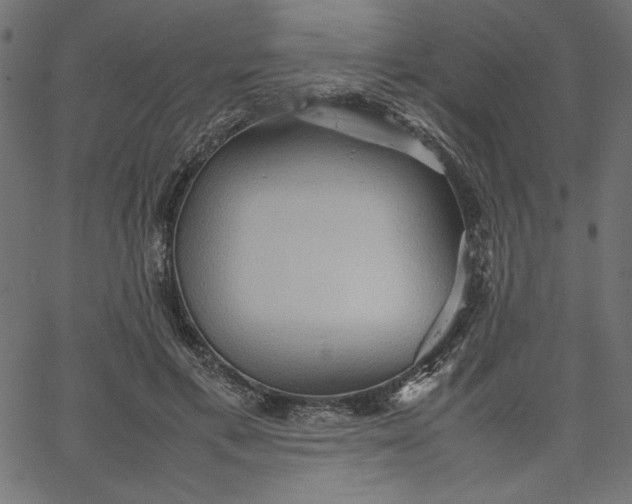 X0000067830597200604271556