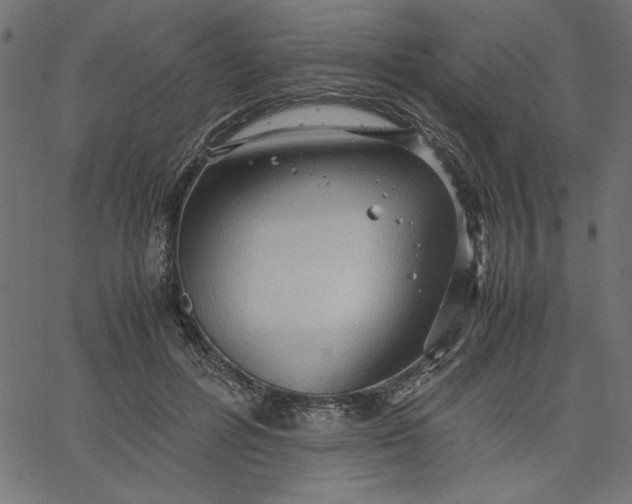 X0000067830600200604271556