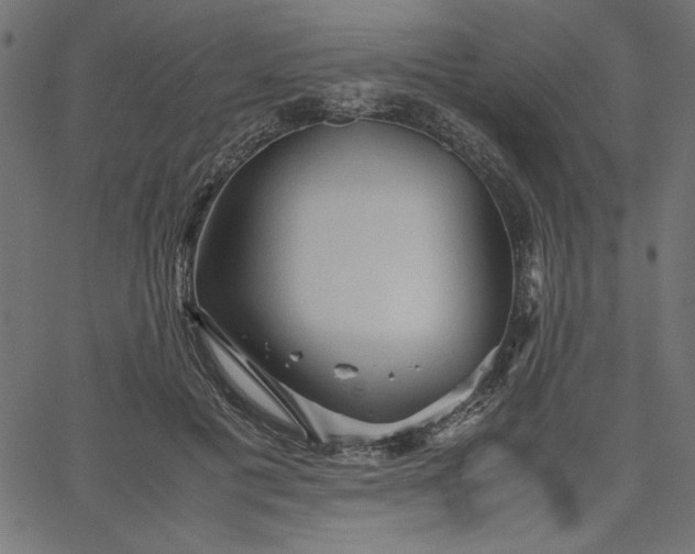 X0000067830601200604271556