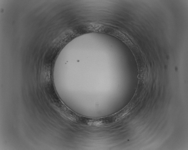 X0000067830602200604271556