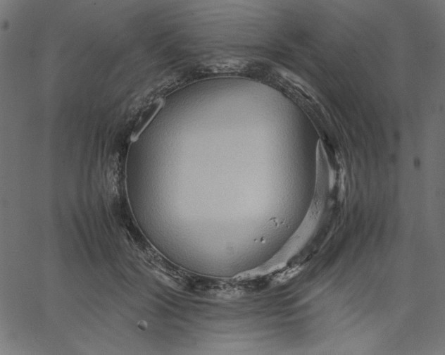 X0000067830604200604271556