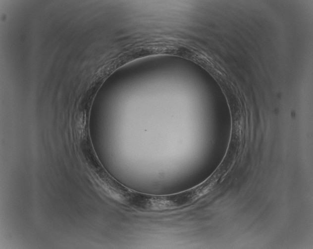 X0000067830605200604271556