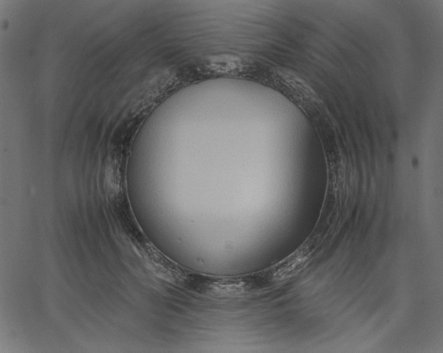 X0000067830606200604271556