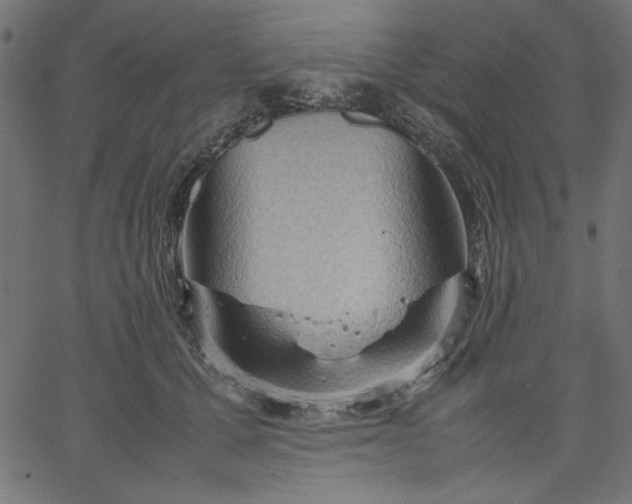 X0000067830607200604271556