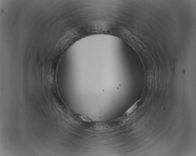 X0000067830608200604271556